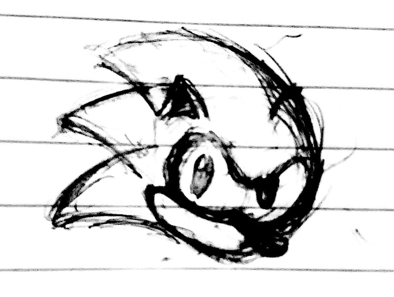 Doodle of Sonic's head